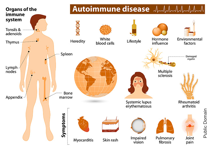Auto Immune Graphic