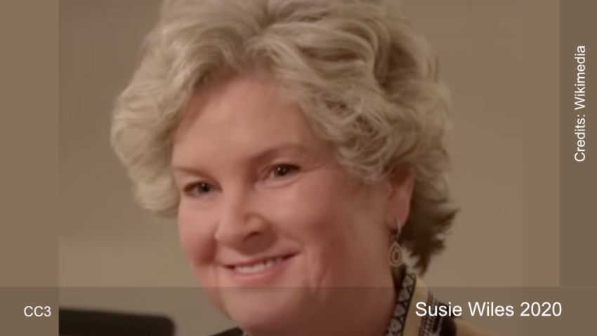 Susie Wiles 2020